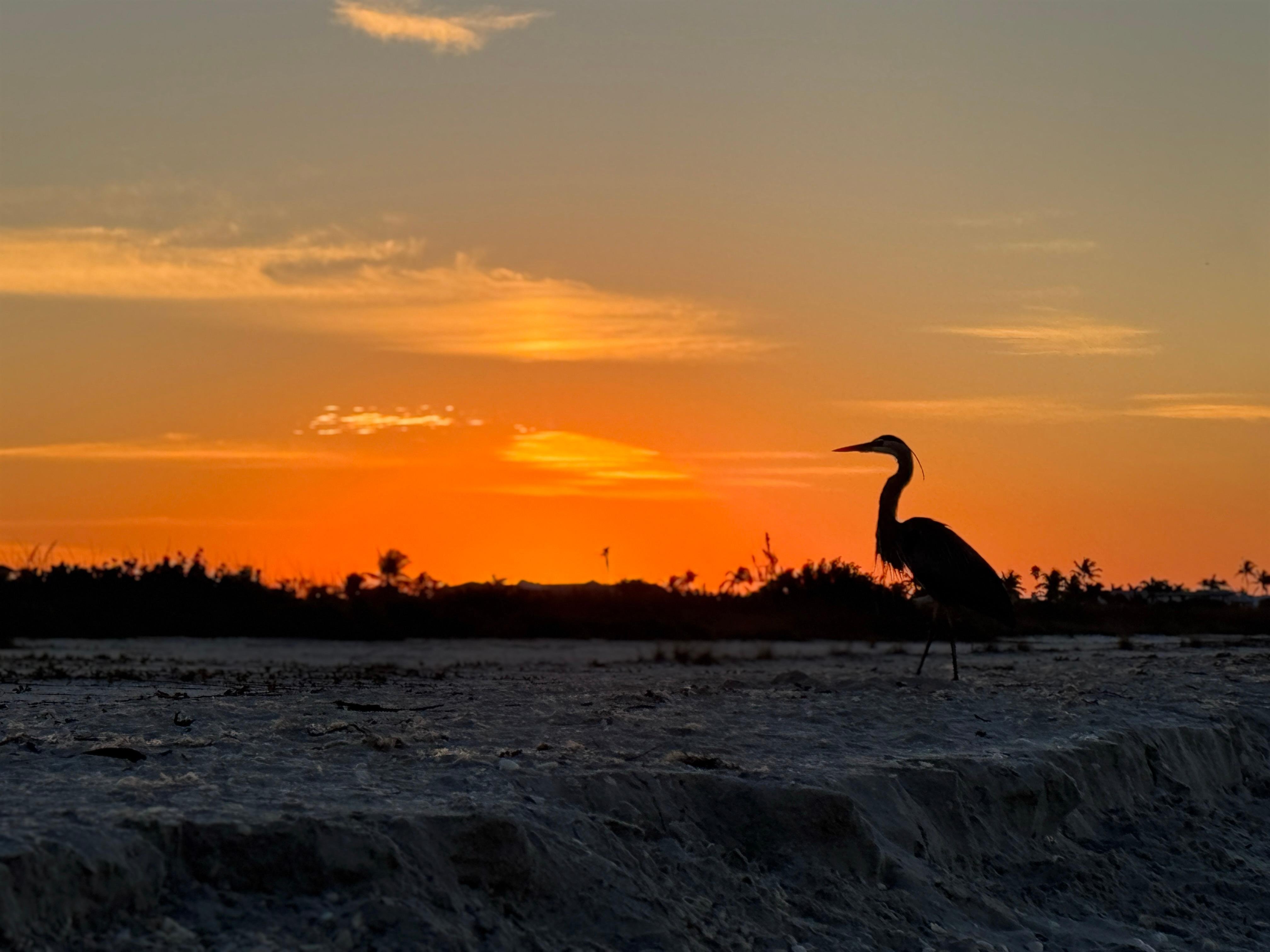 Spectacular sunset every night