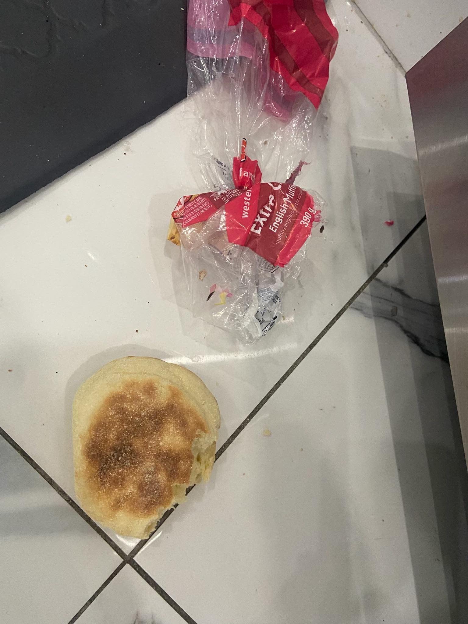 Food on the floor that the mice got off the counter