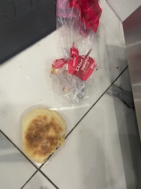 Food on the floor that the mice got off the counter