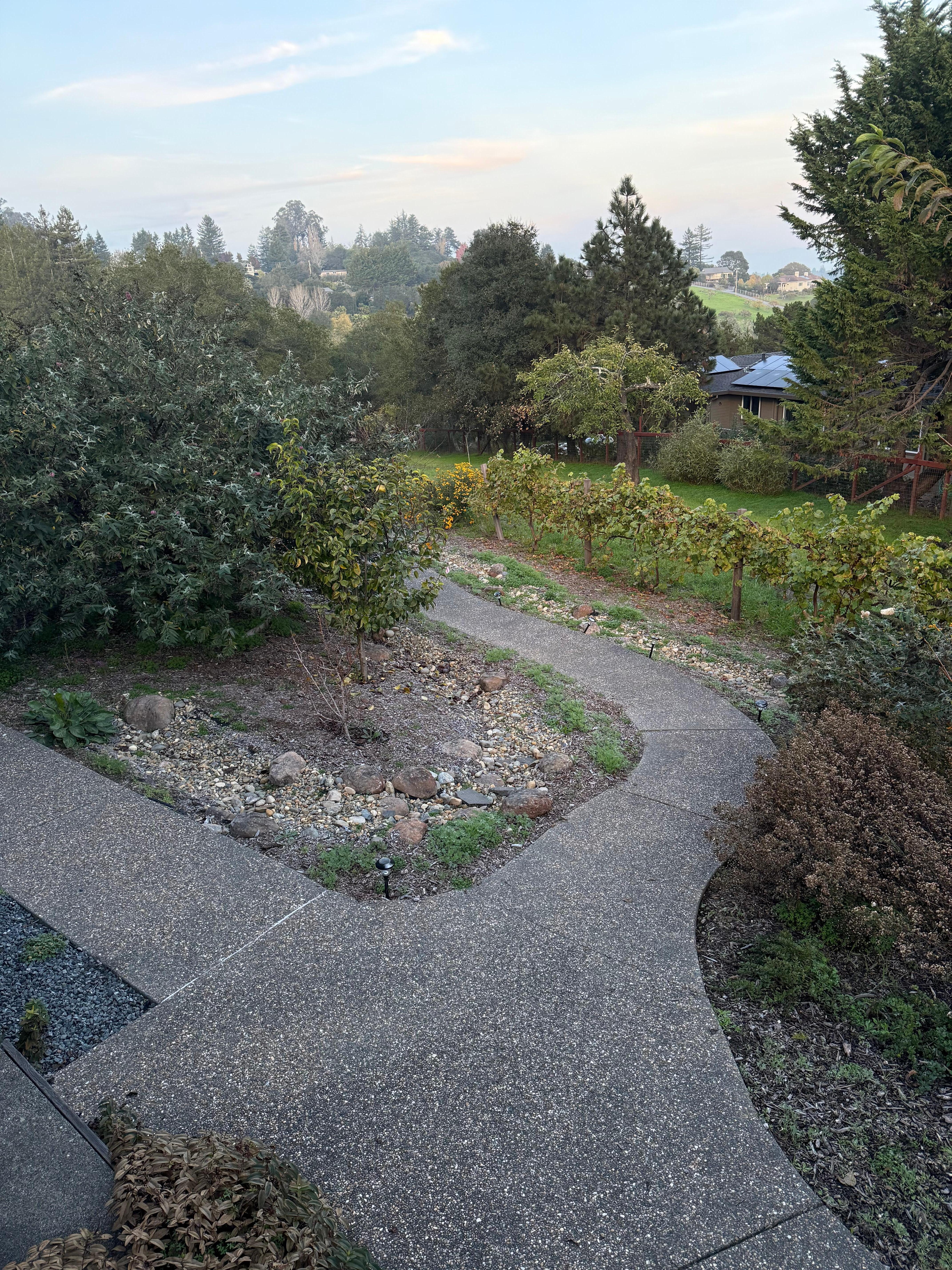 Outdoor path and garden in fall