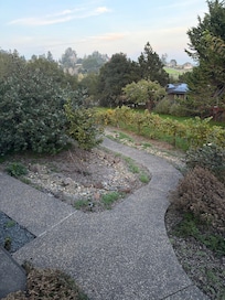 Outdoor path and garden in fall