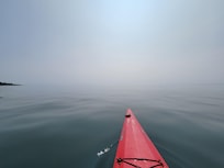 Kayaking the cove at slack tide