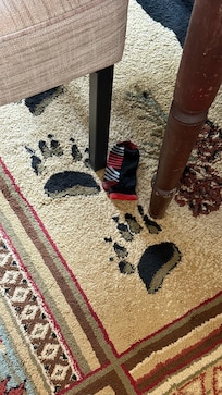 Child’s sock found on the carpet, we have no young children. Floors were dirty