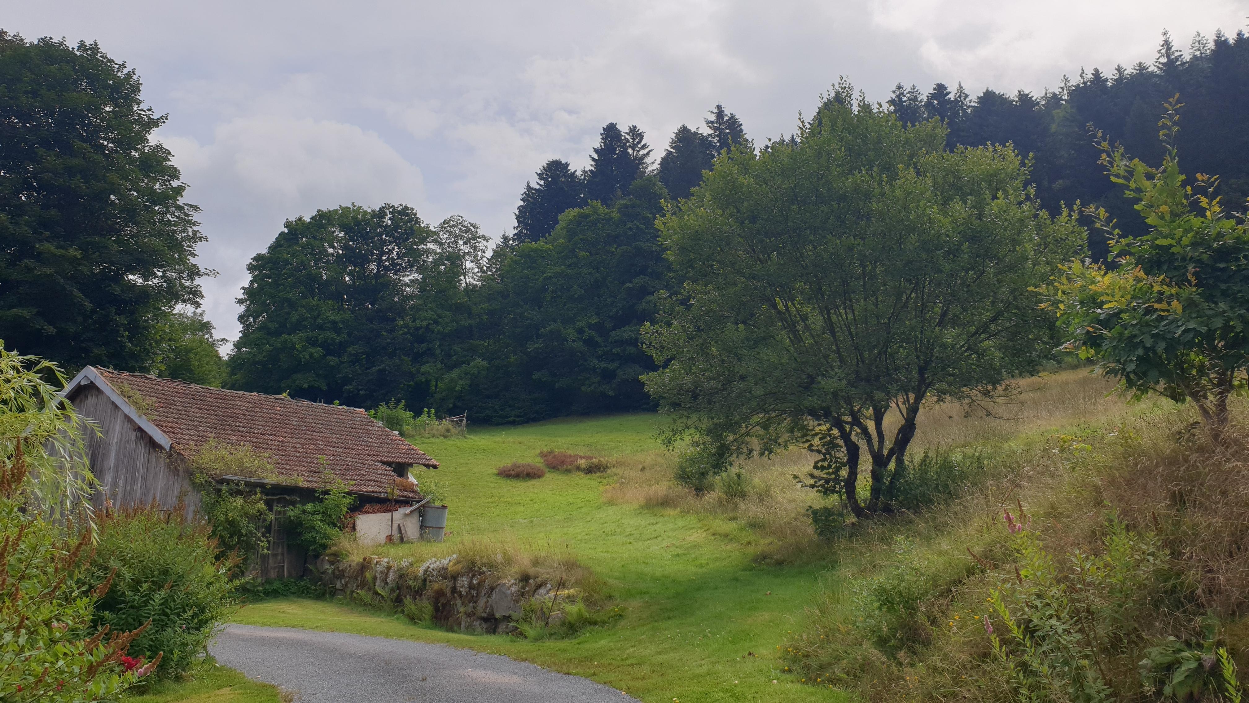 De weide tegenover het terras