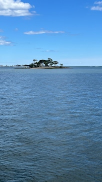 Calf pasture and Shady beach