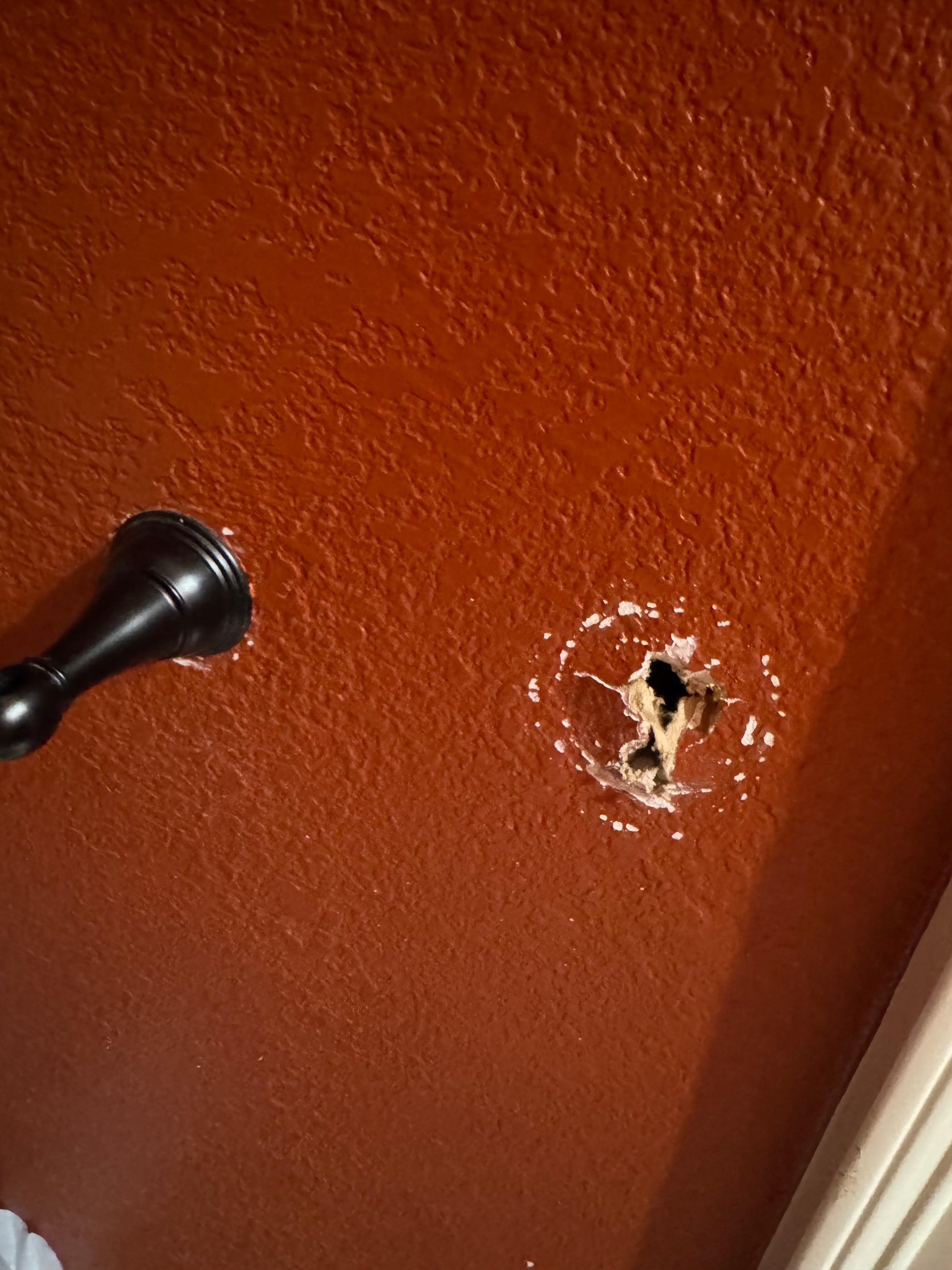 Main floor bath toilet paper holder