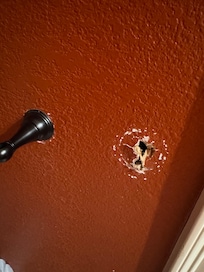 Main floor bath toilet paper holder