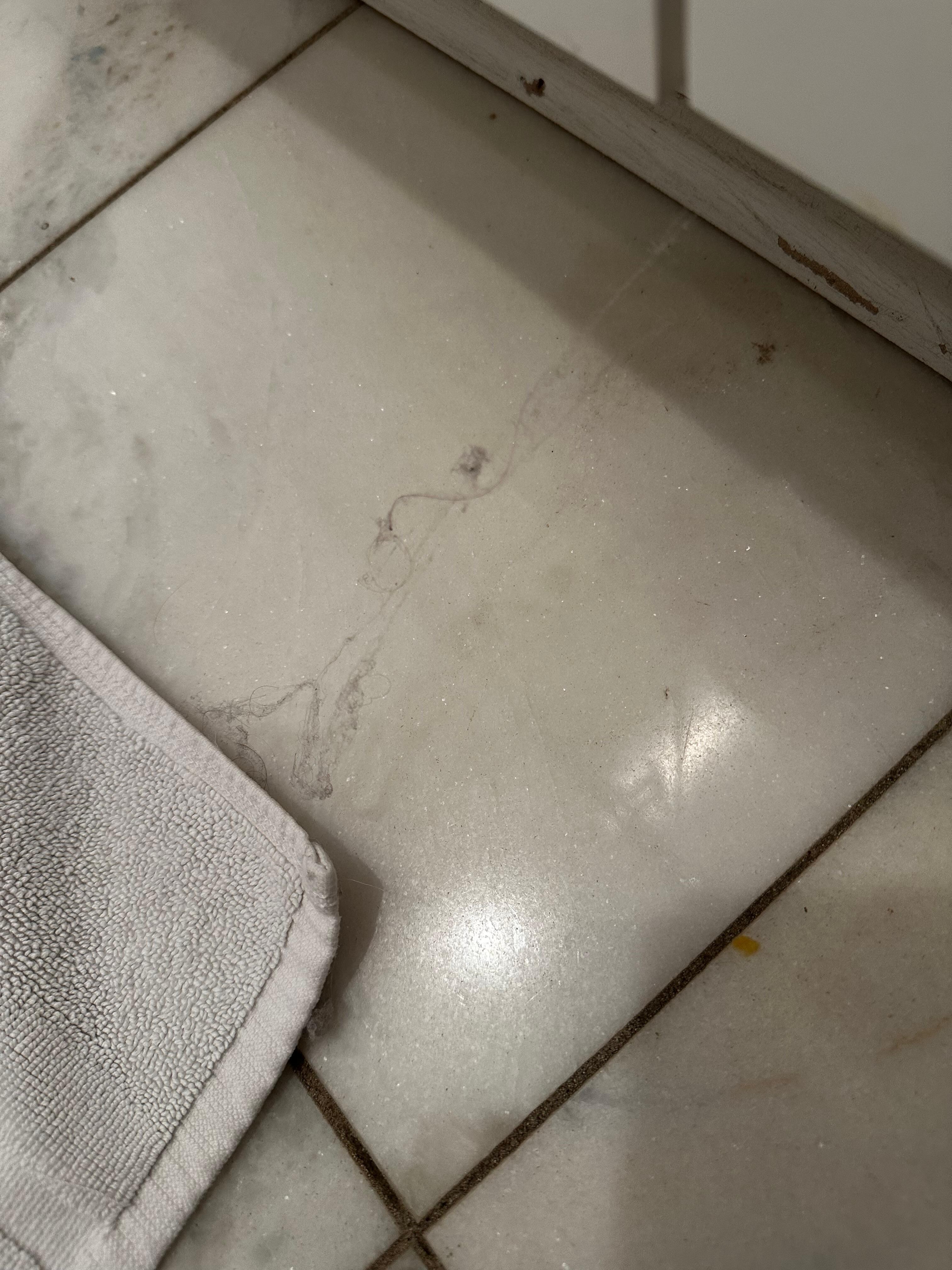 Cobwebs & dust on bathroom floor
