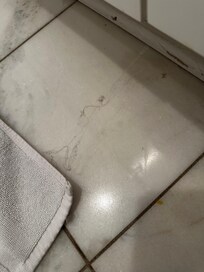 Cobwebs & dust on bathroom floor