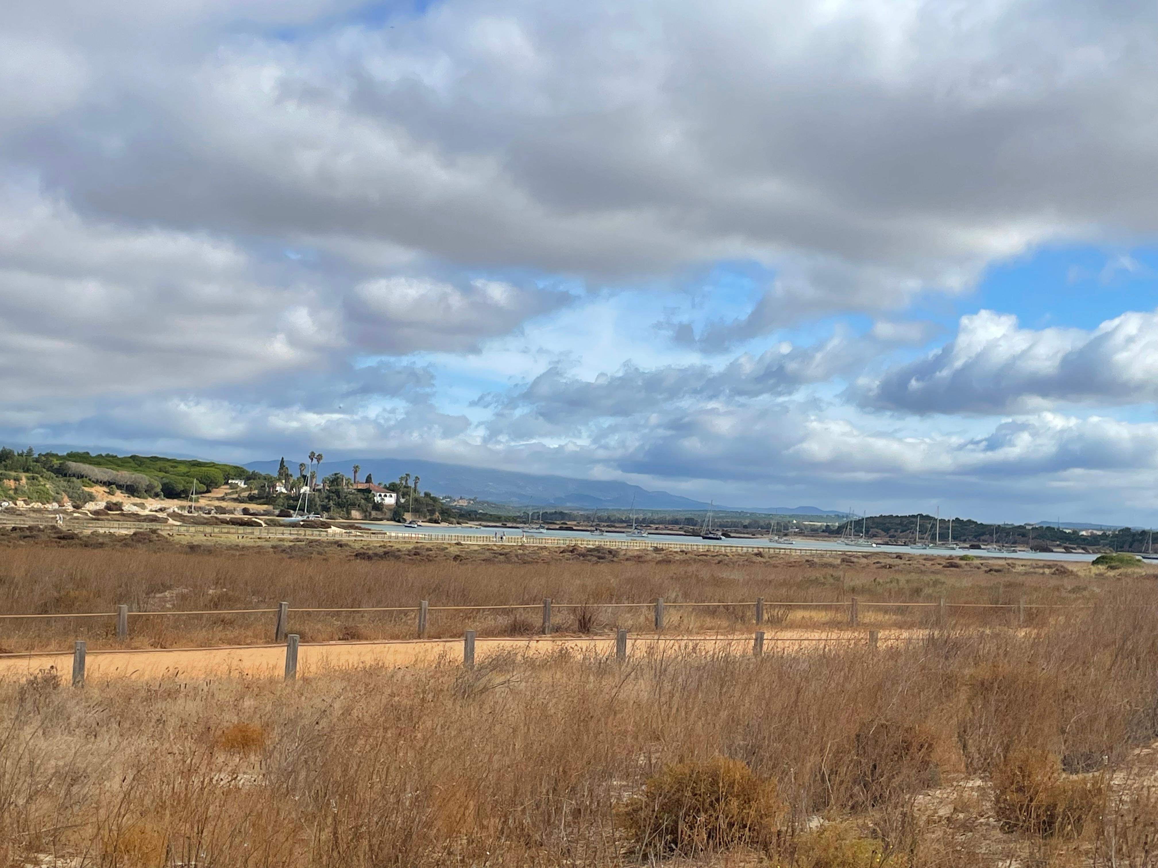 Great boardwalk trail