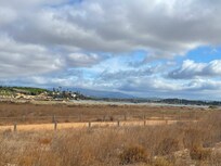 Great boardwalk trail