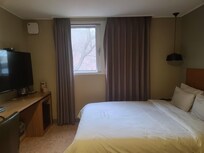 밖에 나무가 보여 나쁘지 않았습니다