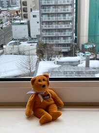 Maui Strong Bear went with me.  He needed a vacation, too.