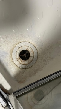 Hairs and grime in the disgusting shower