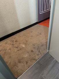This is the carpet in front of the toilet