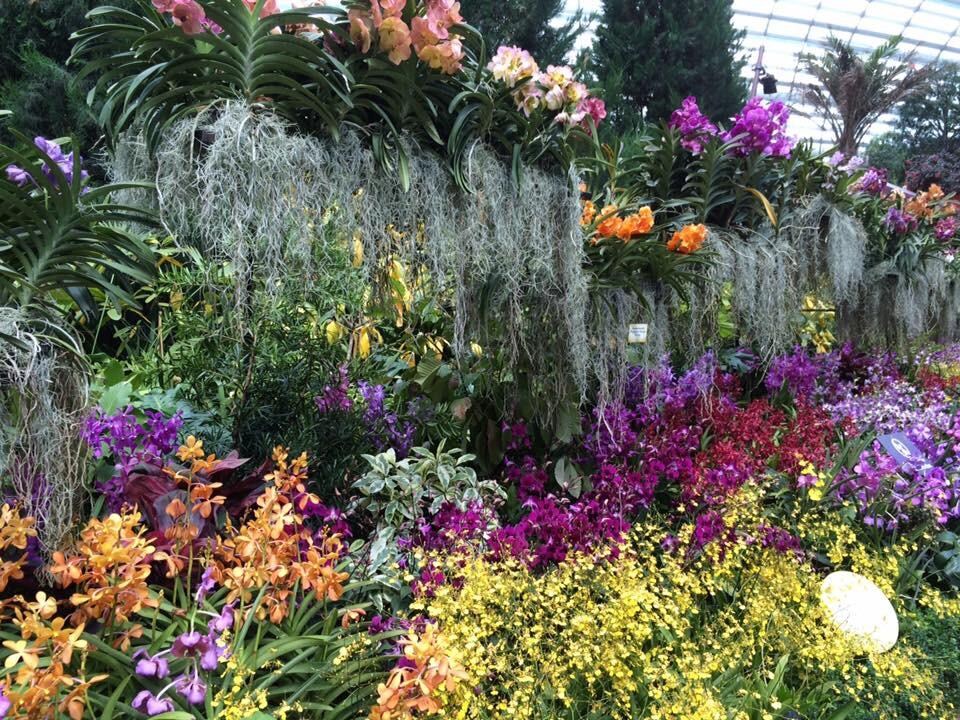 Gardens by the Bay