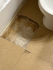 Would you like to step out of the shower in bare feet onto this floor?