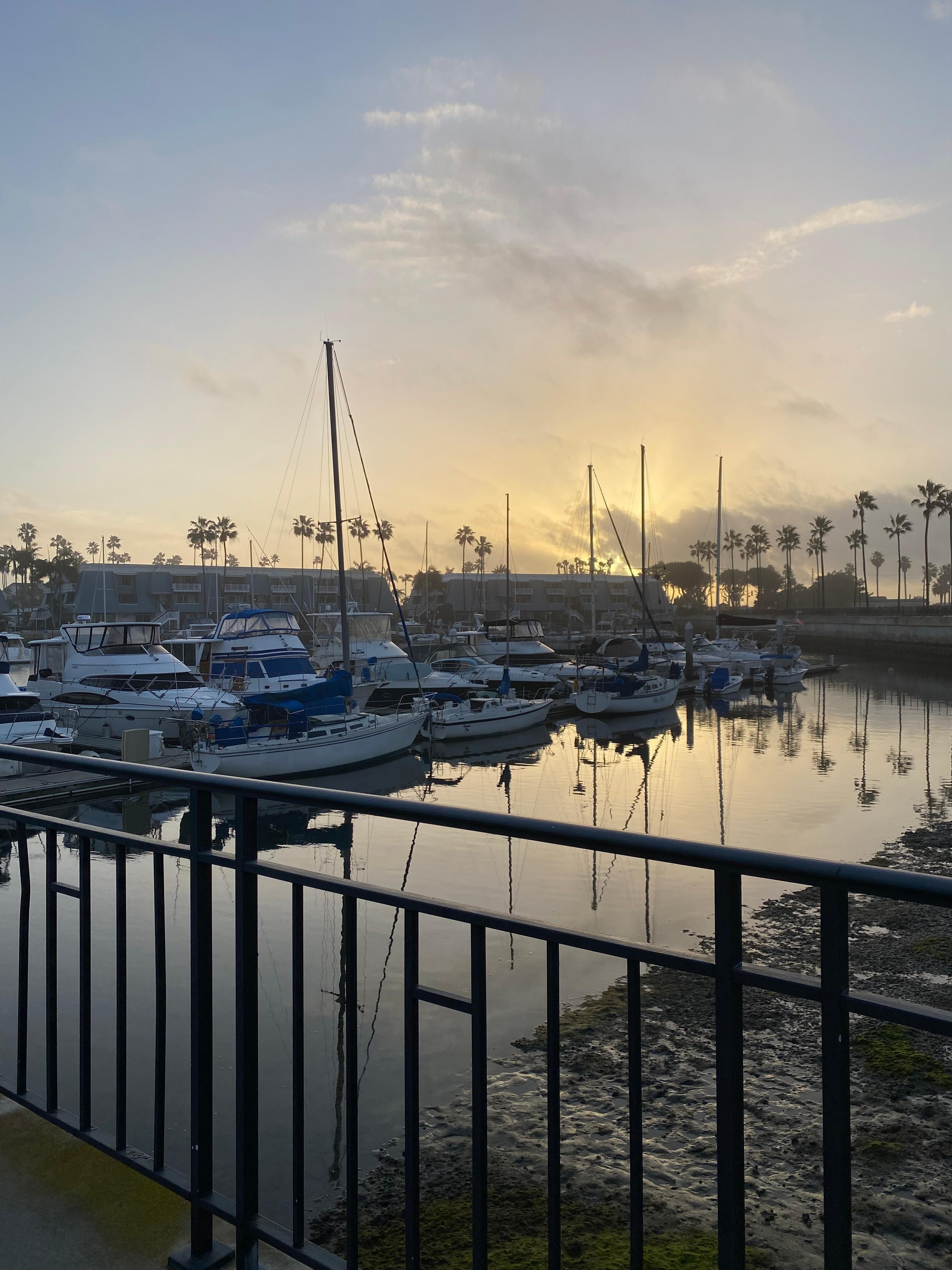 The marina