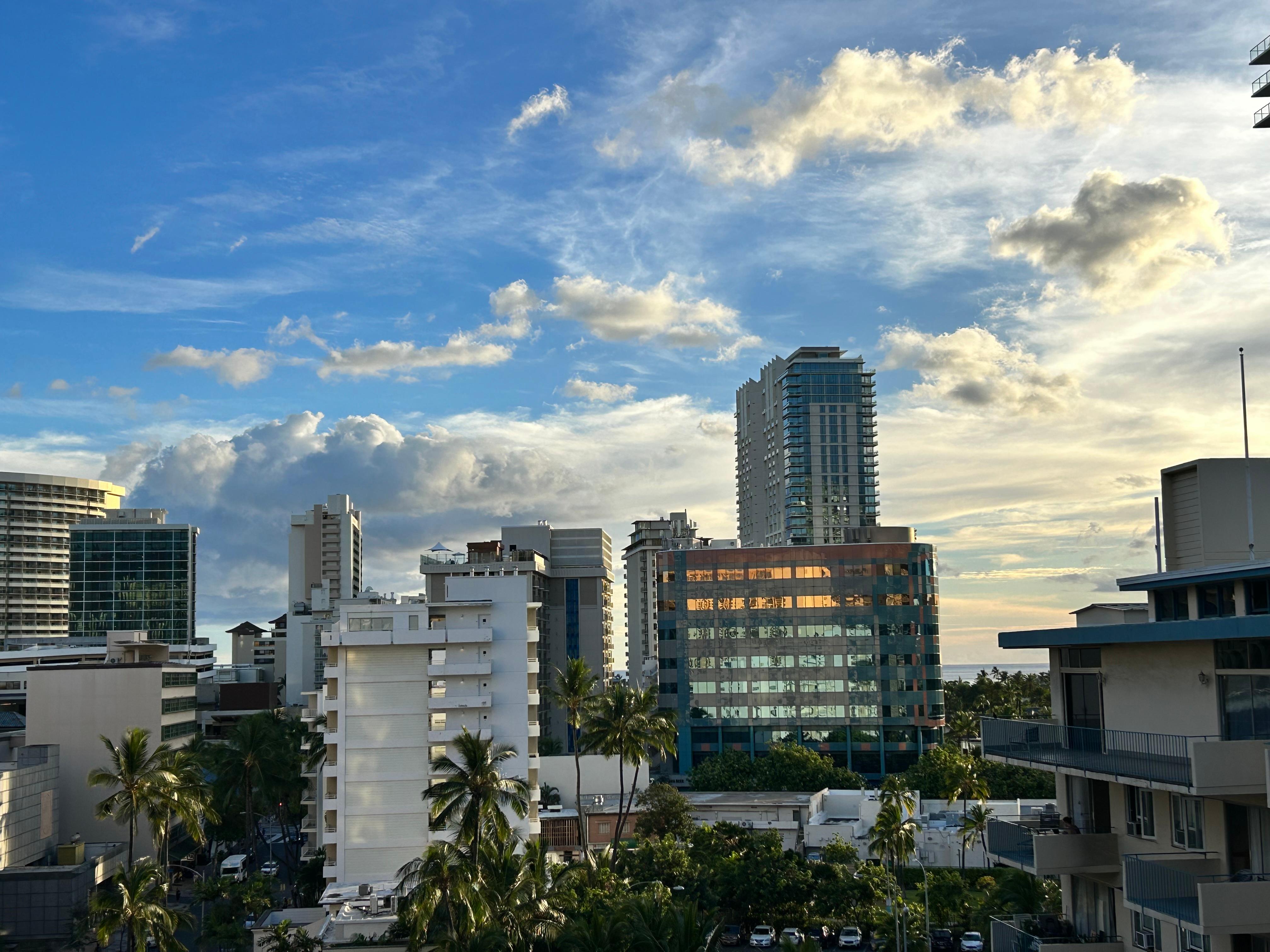 9th floor view