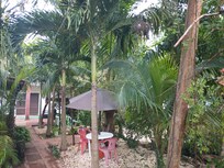 Inside the property