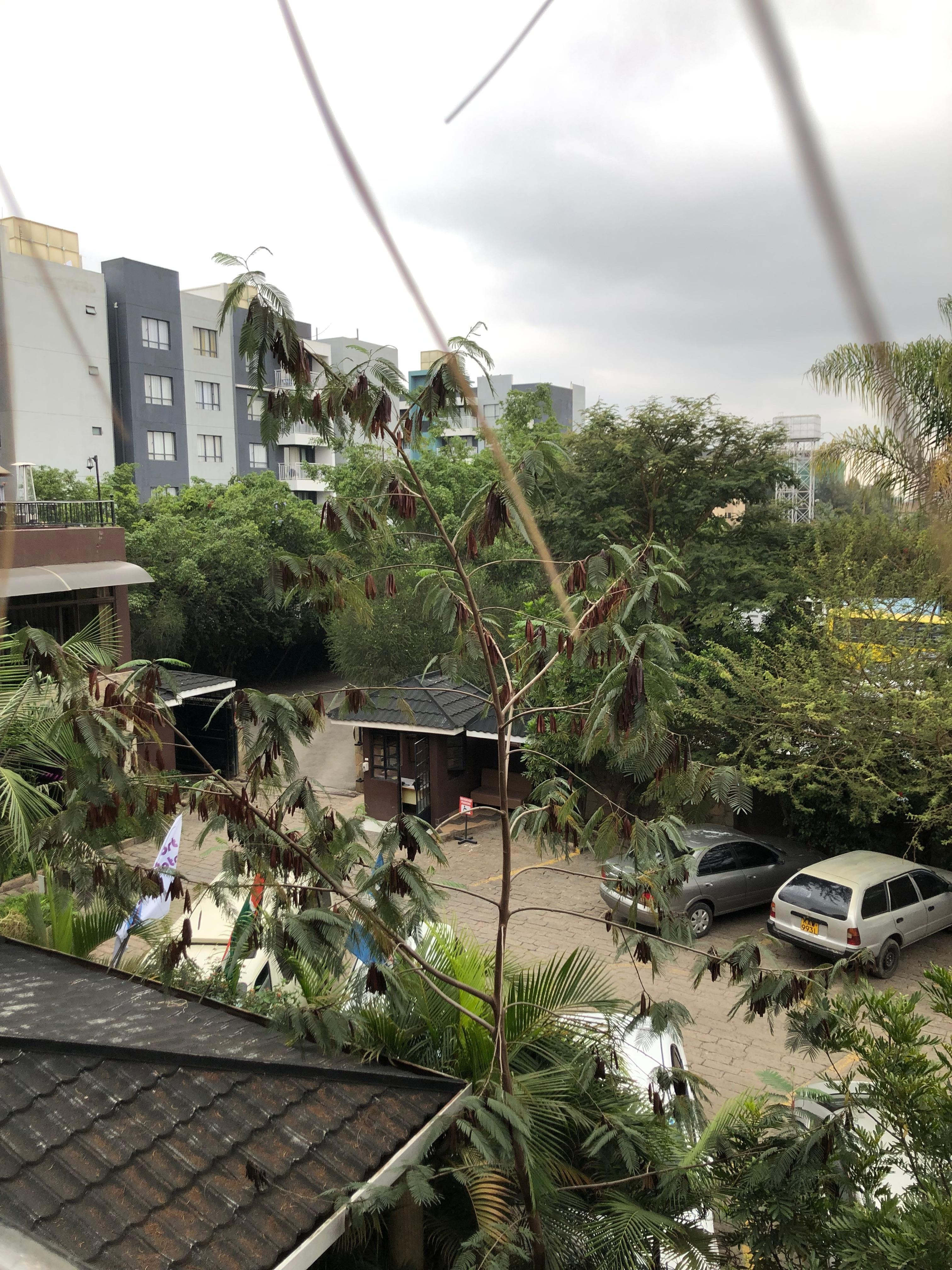 Utsikt fra balkongen