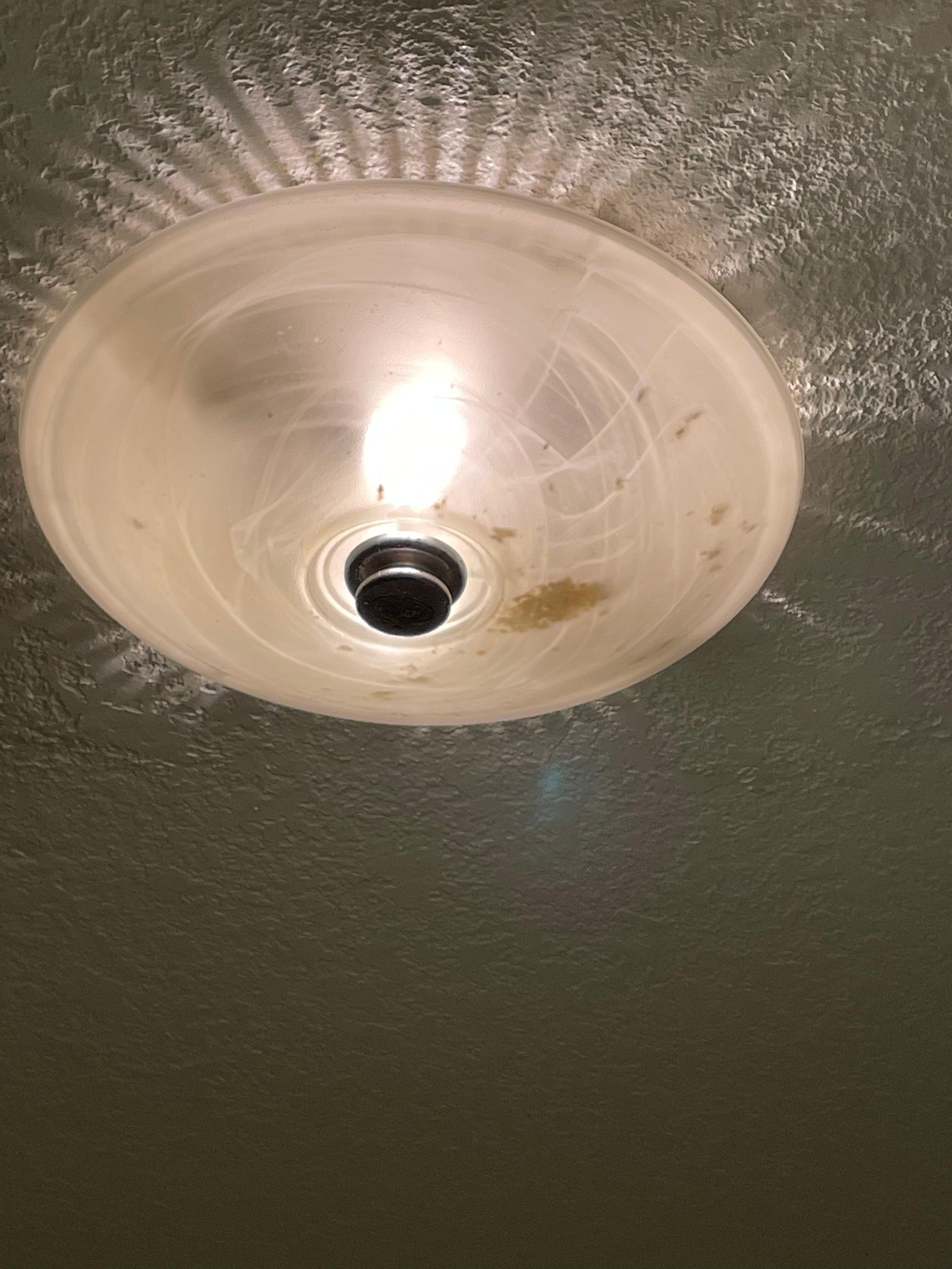 Bathroom light fixture durty