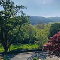 View from our room.