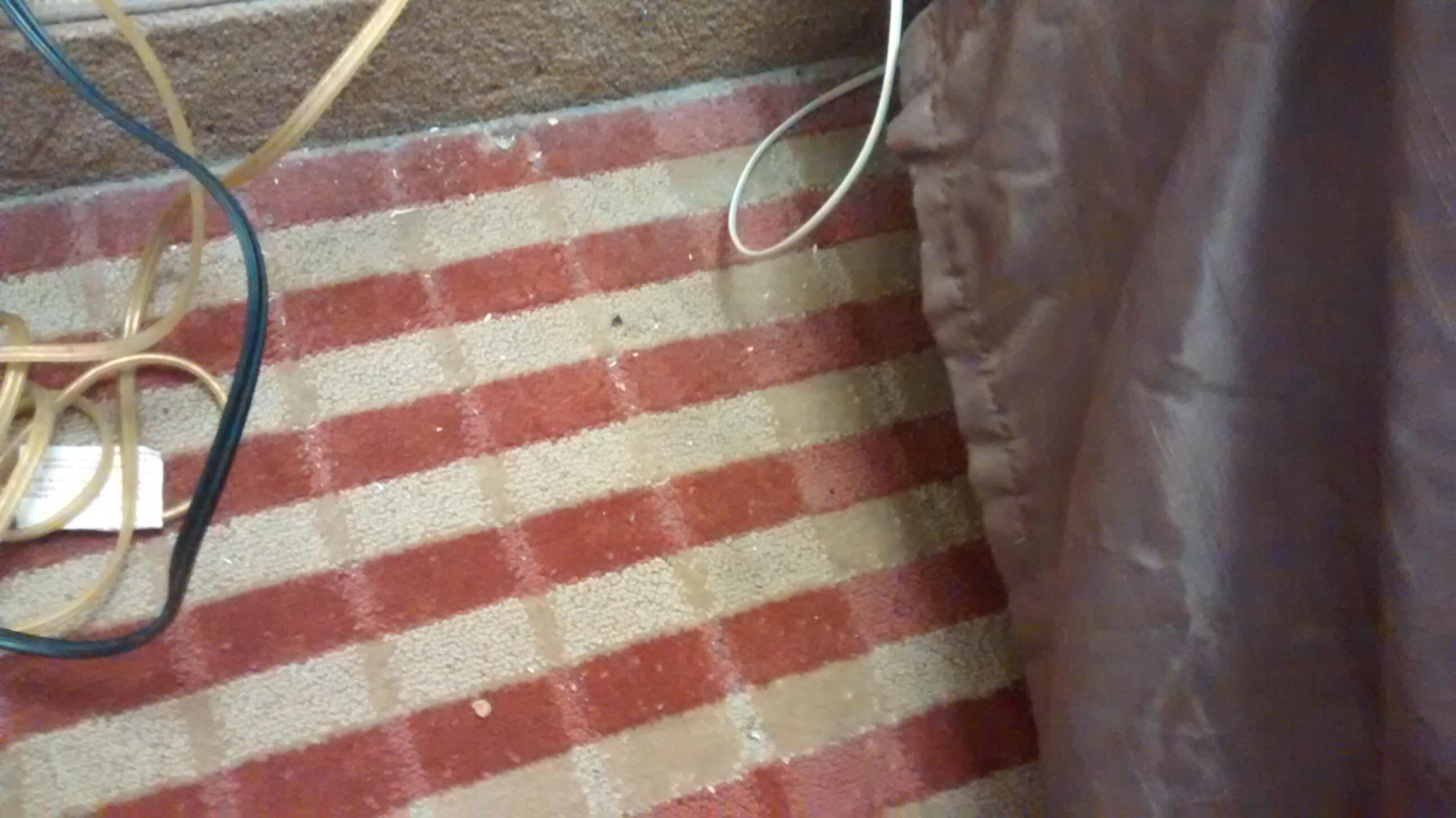 Wall above toilet