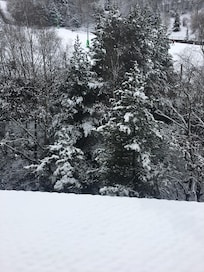 View from my room