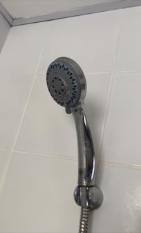 Nasty shower head