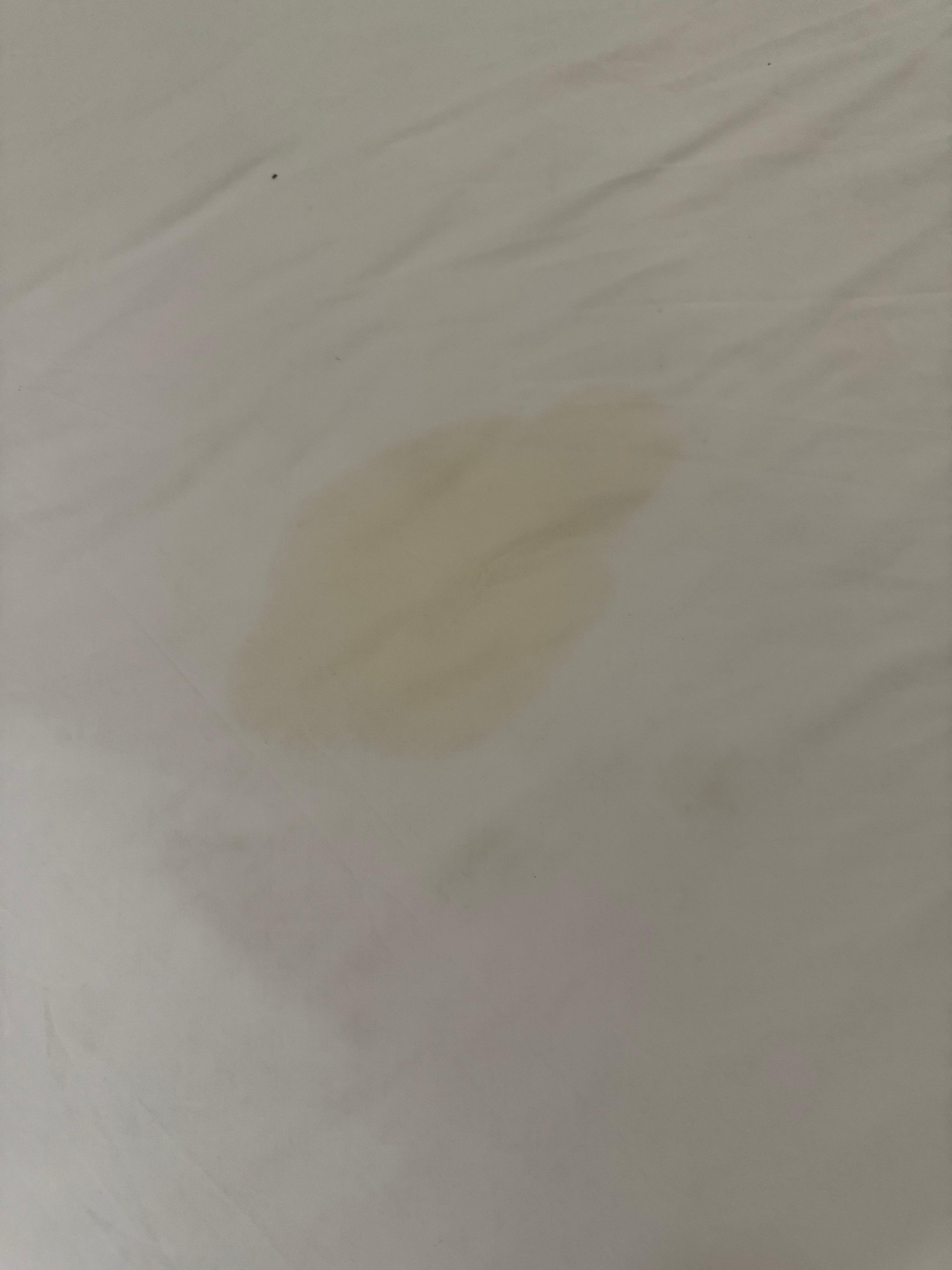 Piss stained sheets