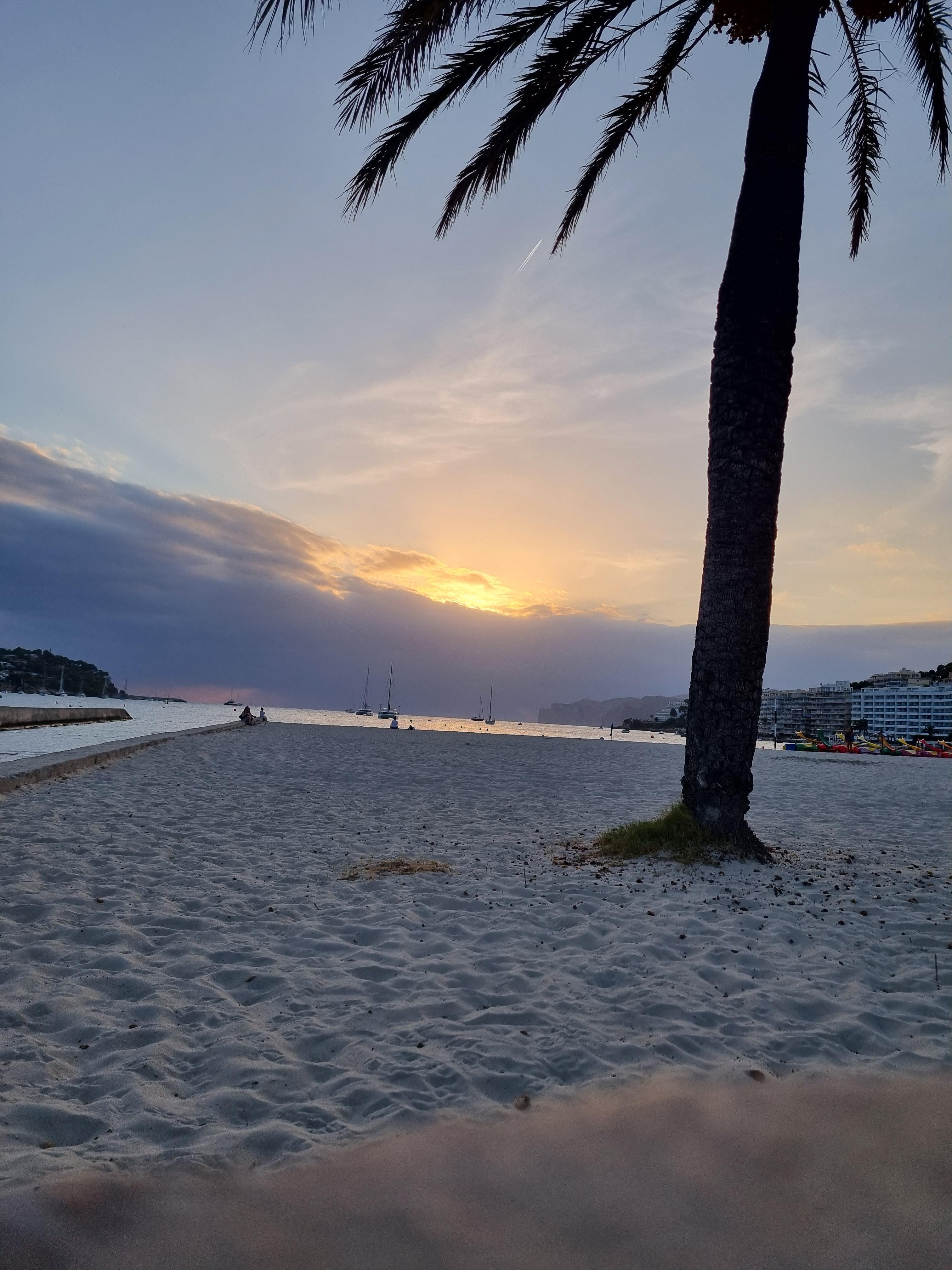 Beach opposite the hotel