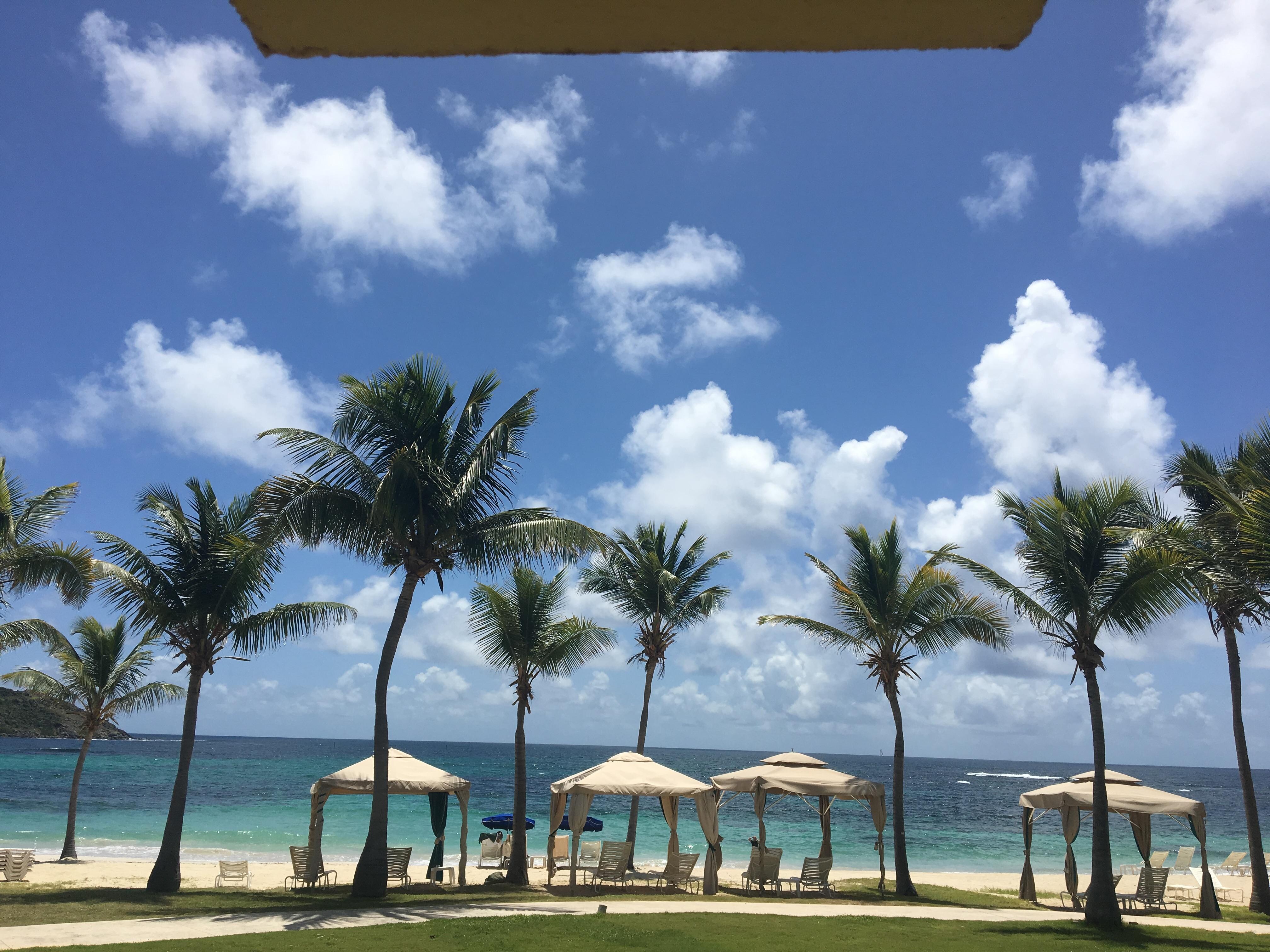 The view from my room