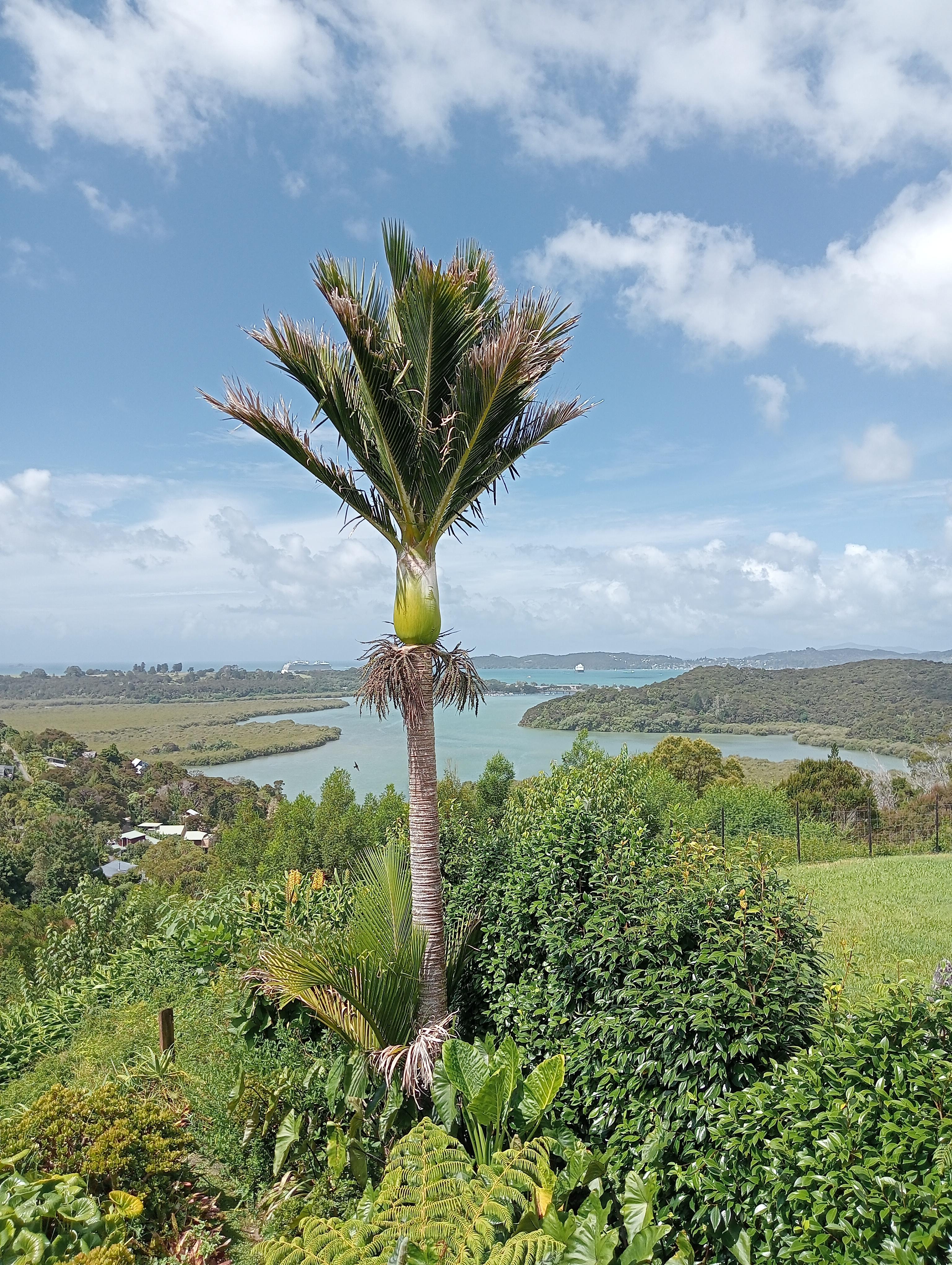 The view from our room on a warm, sunny summer day