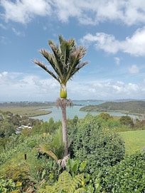 The view from our room on a warm, sunny summer day