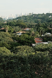 View from the balcony