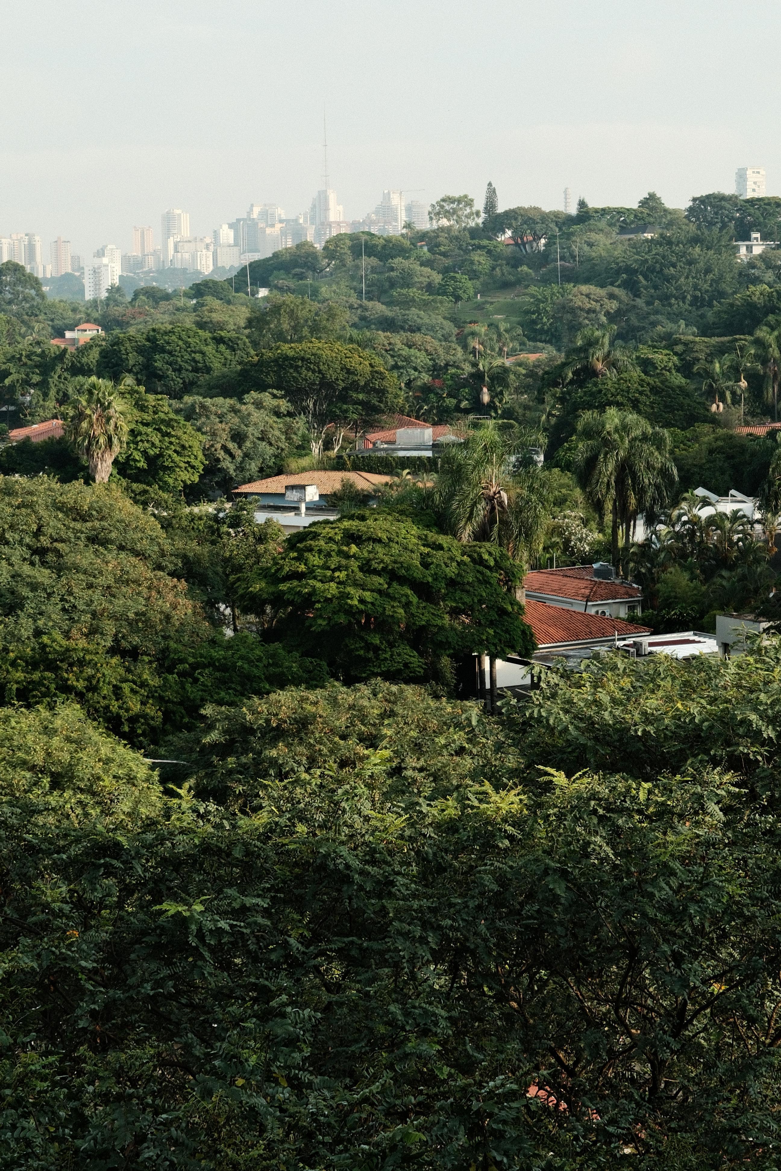 View from the balcony 