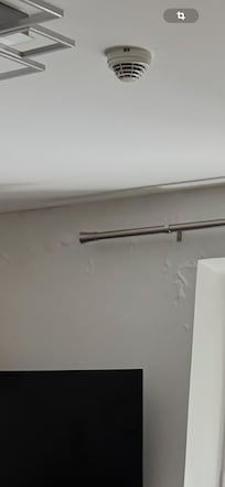 Moisissures nauséabonde et dangereuse pour la santé