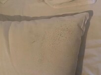 Puter med mulig spor av gammel mugg.