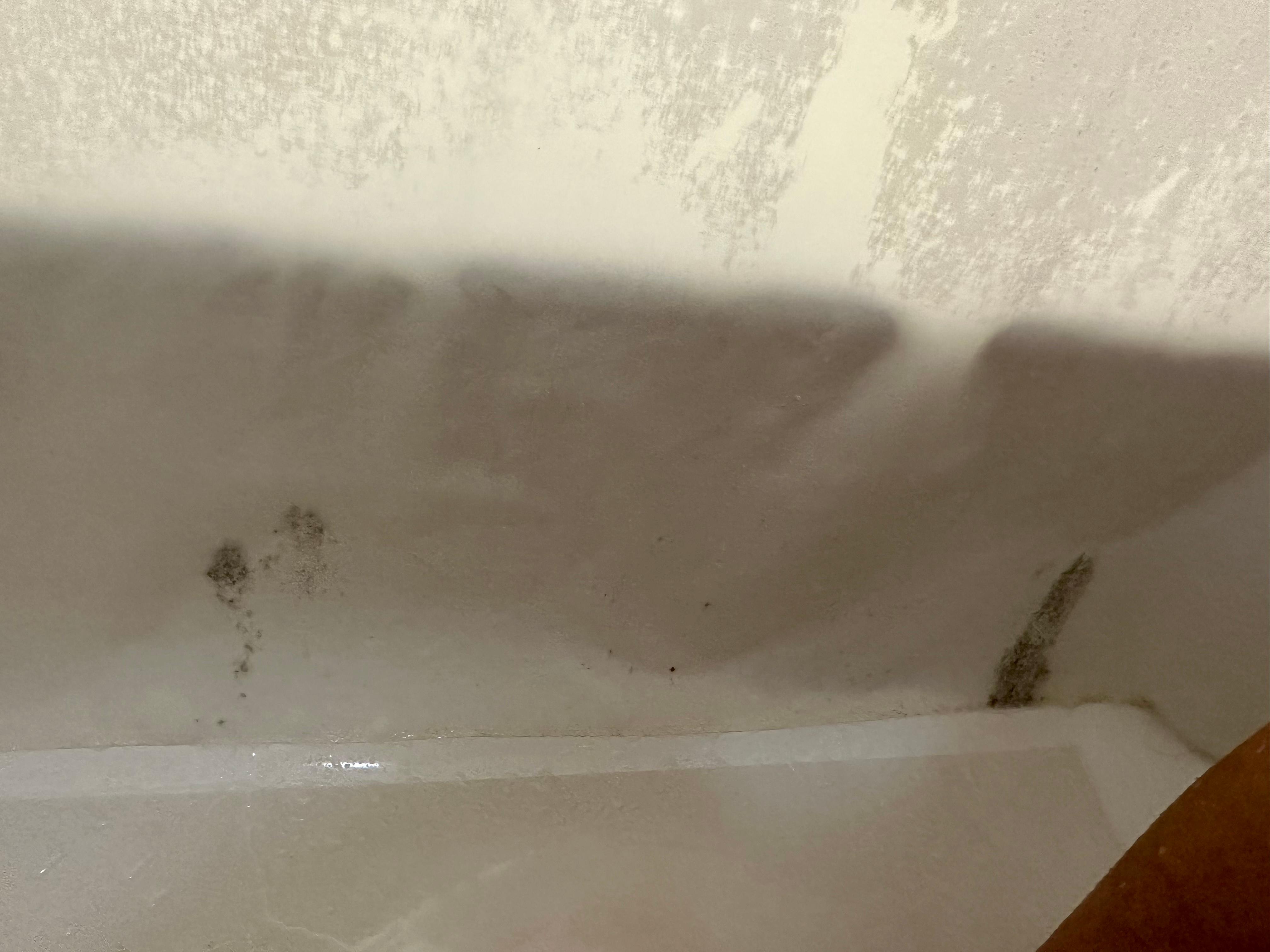 Shower curtain from inside. I don’t understand why in a large hotel with a large staff not having clean items like this. 