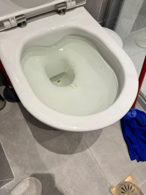 Followed the indications on top of the toilet not to flush paper, but still had to keep using plunger several times after using the toilet.