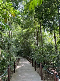 Botanic garden