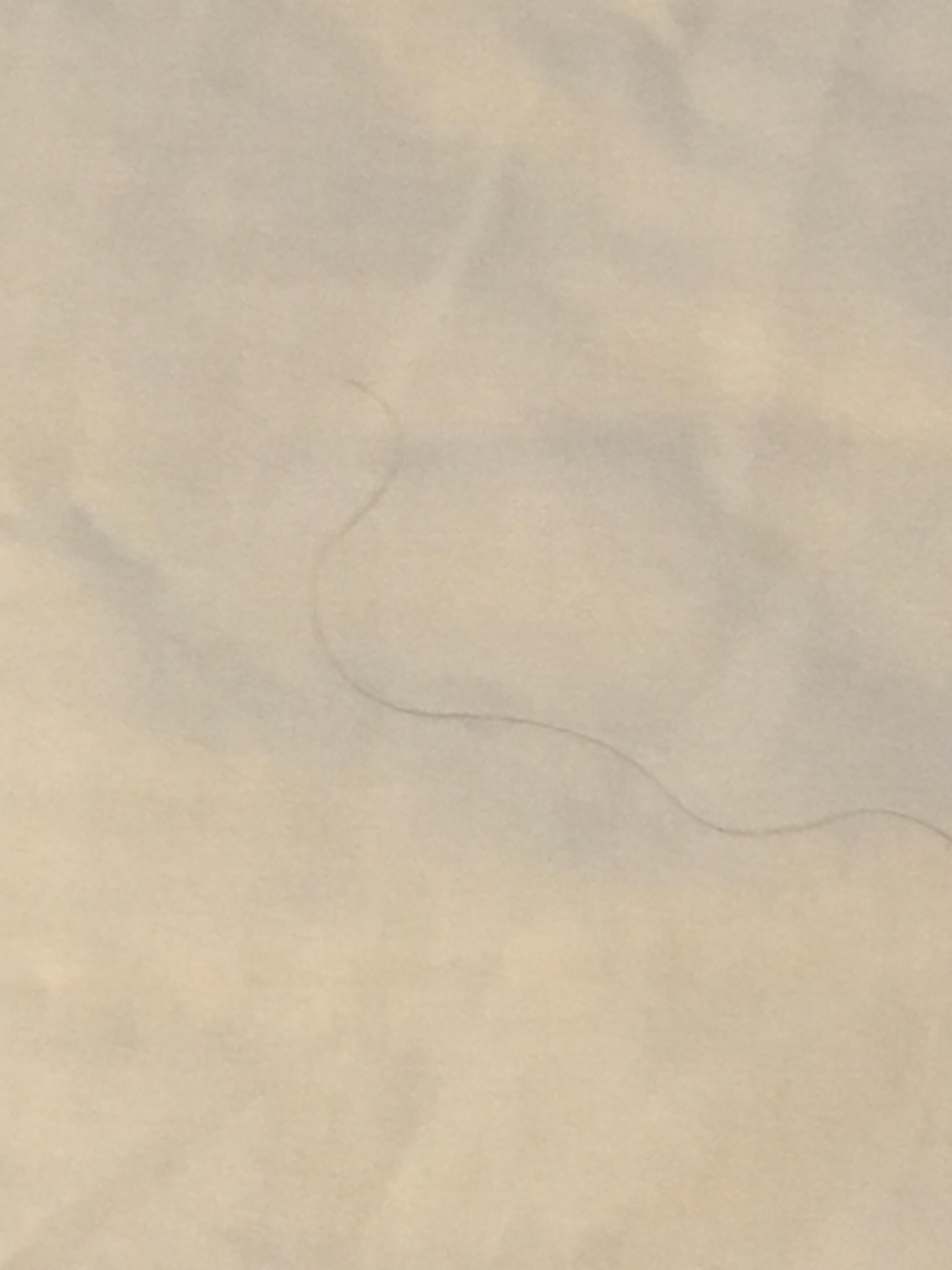 Hair in one bed