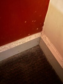 Condition of room after cleaning