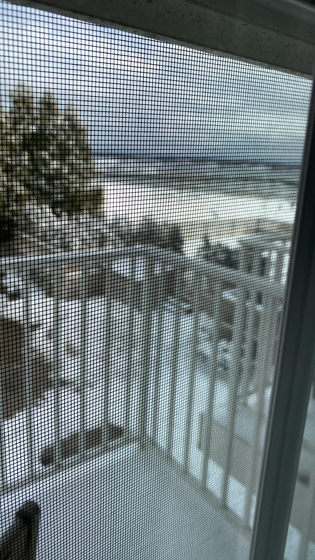 partial view of Greenport Harbor after a winter snow