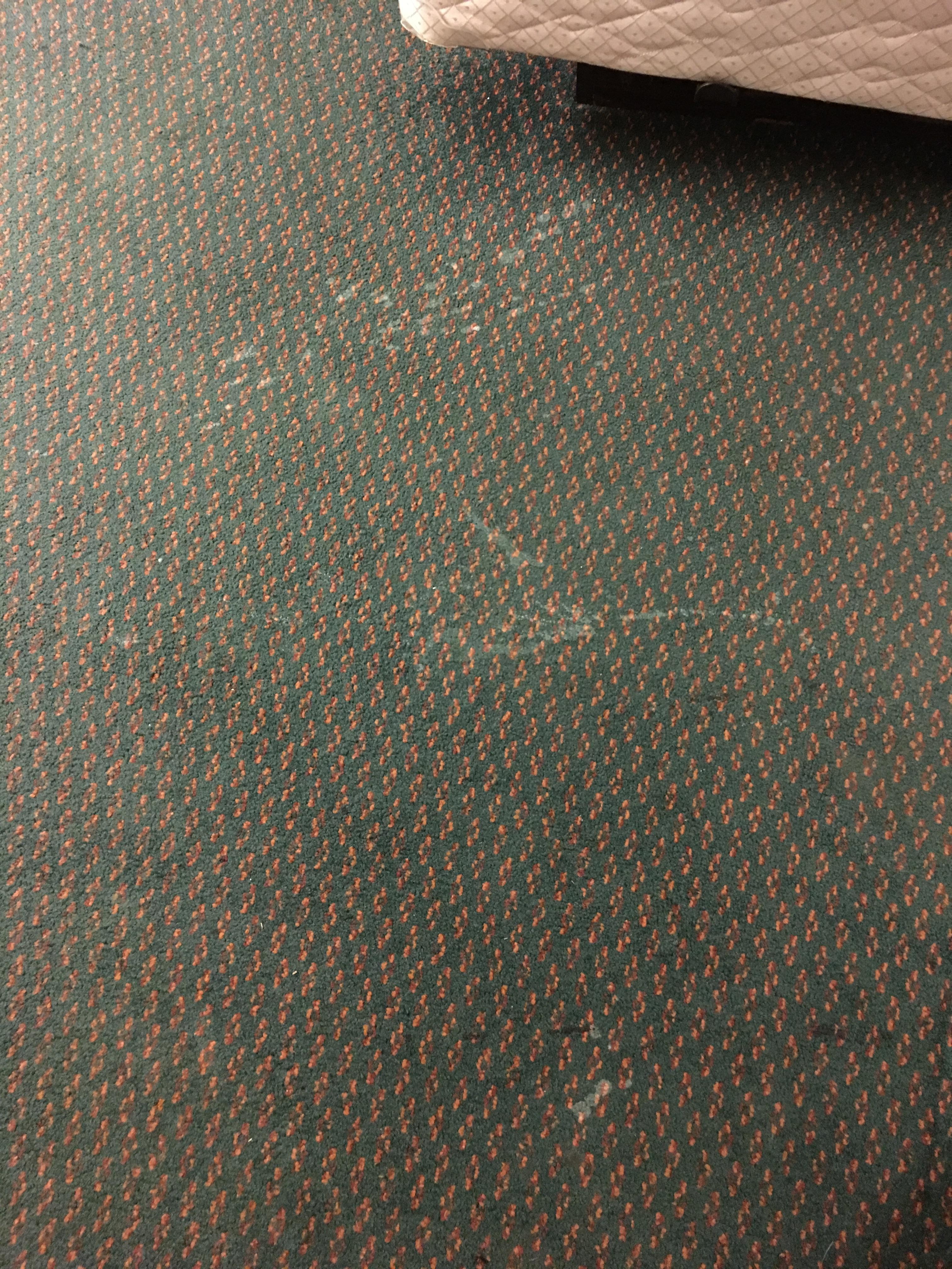 The rubber strip between carpet and tile