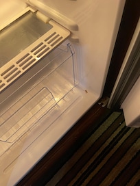 One of three roaches in fridge.
