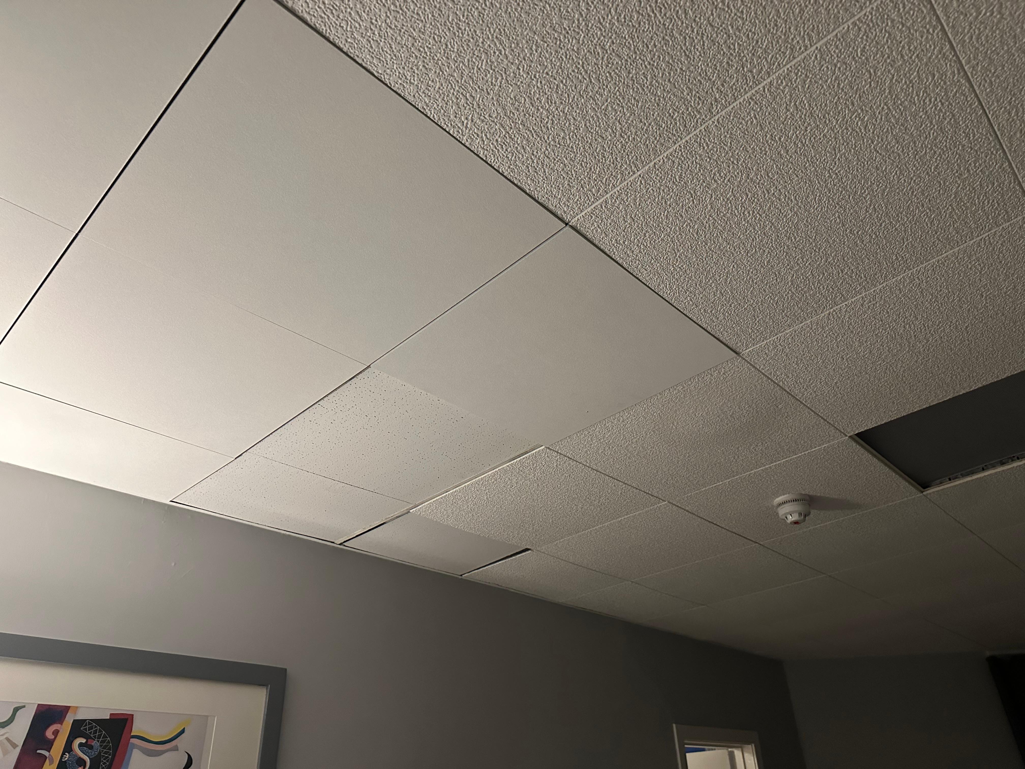 Ceiling tiles 