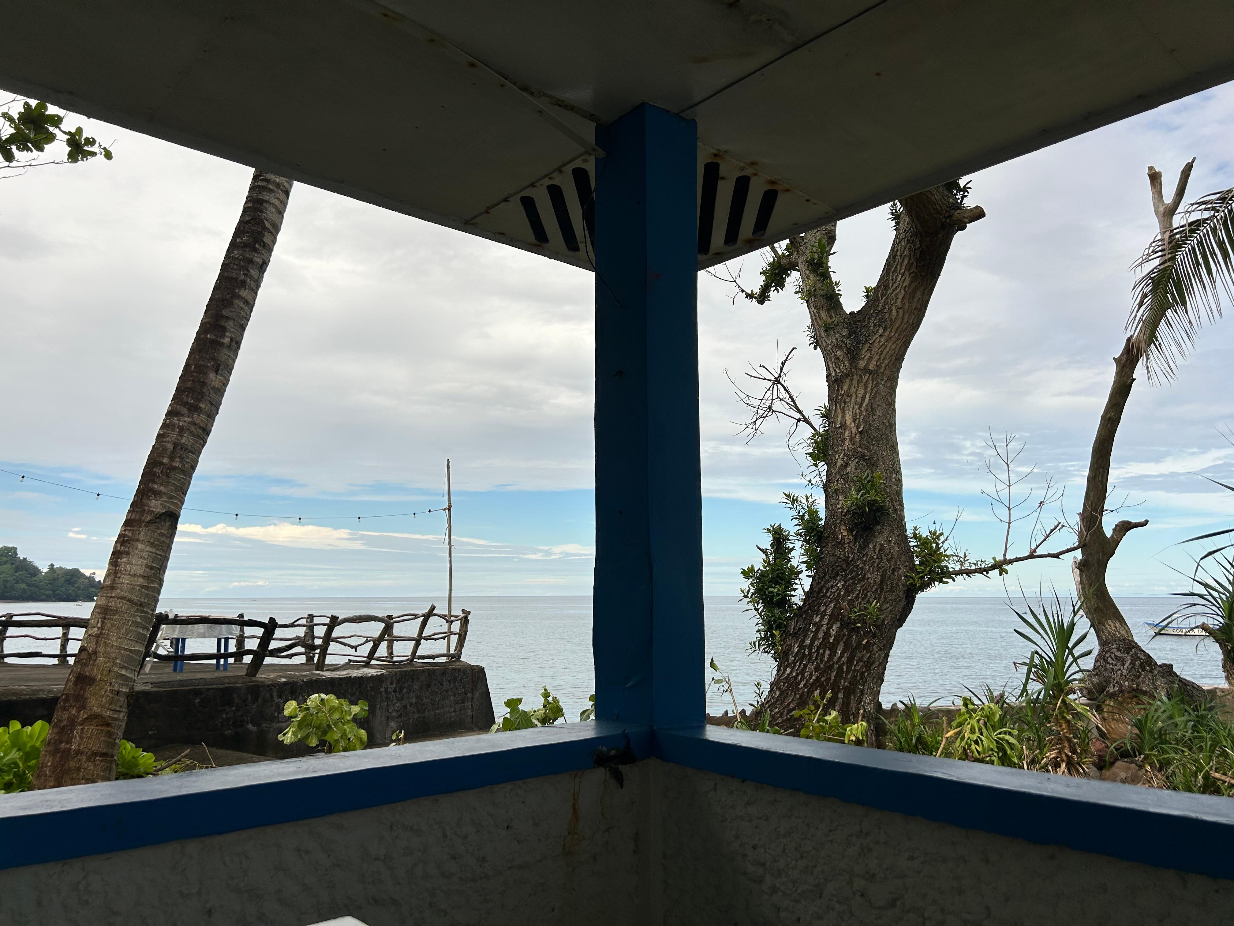 Vue depuis la terrasse