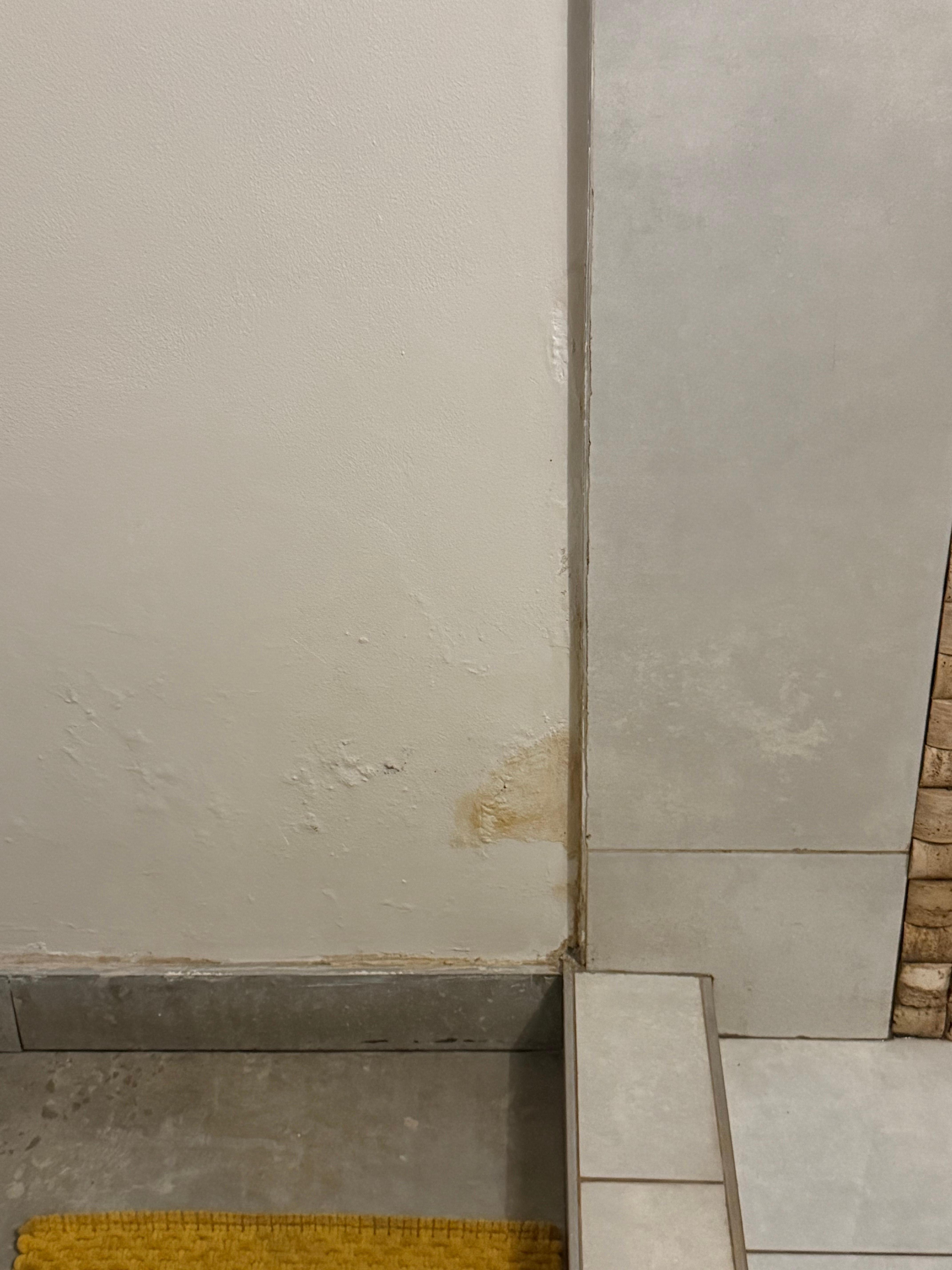 Mould in bathroom